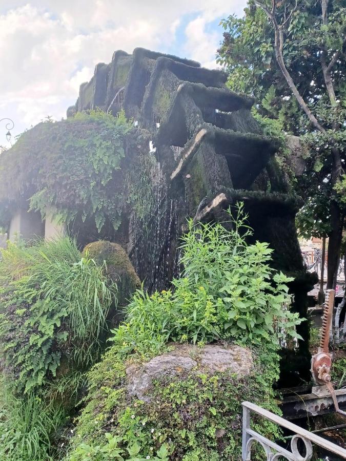 L'Isle Sur La Sorgue, Appartement 2 Pieces Jardin Parking LʼIsle-sur-la-Sorgue Exterior foto
